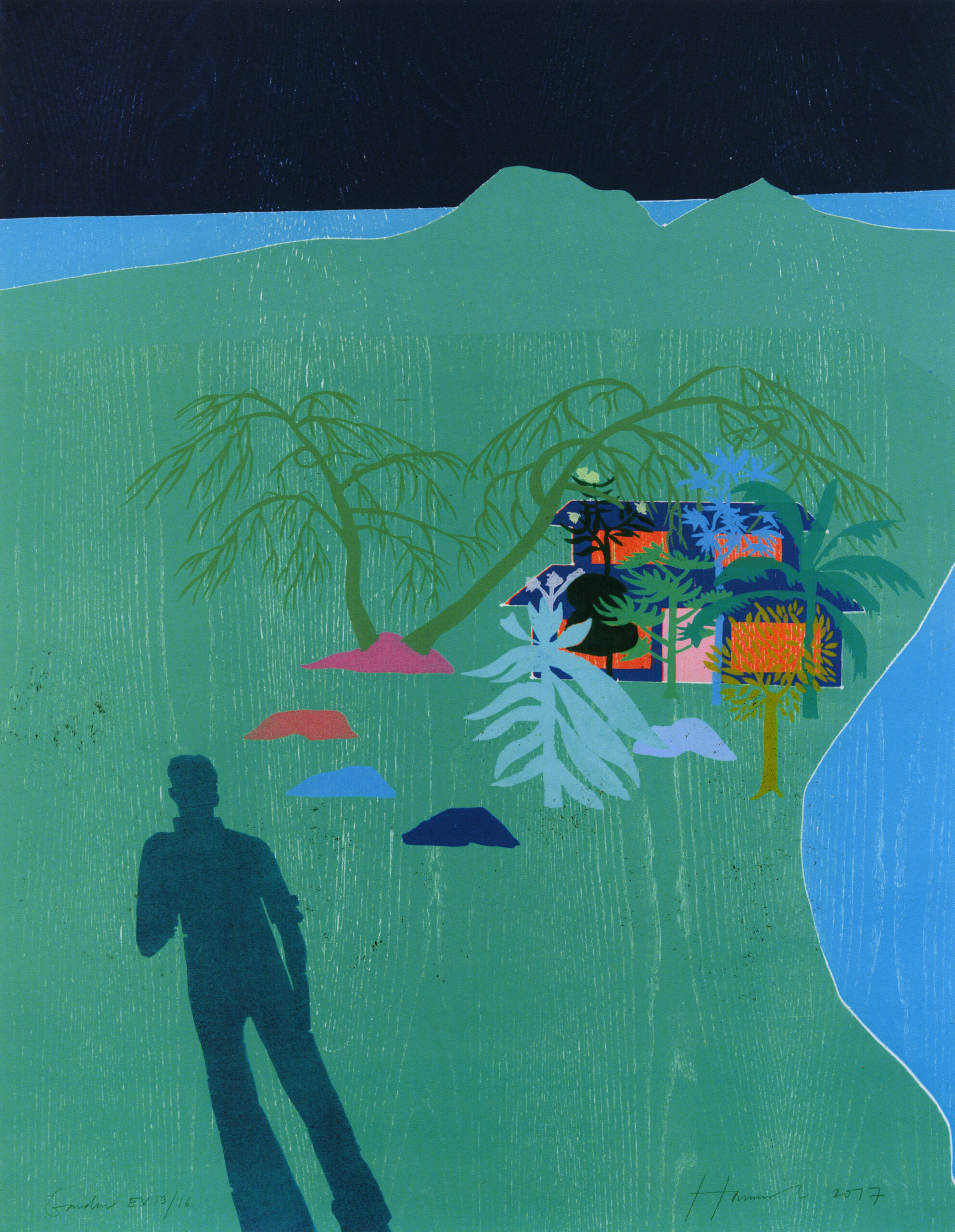 Garden by Tom Hammick