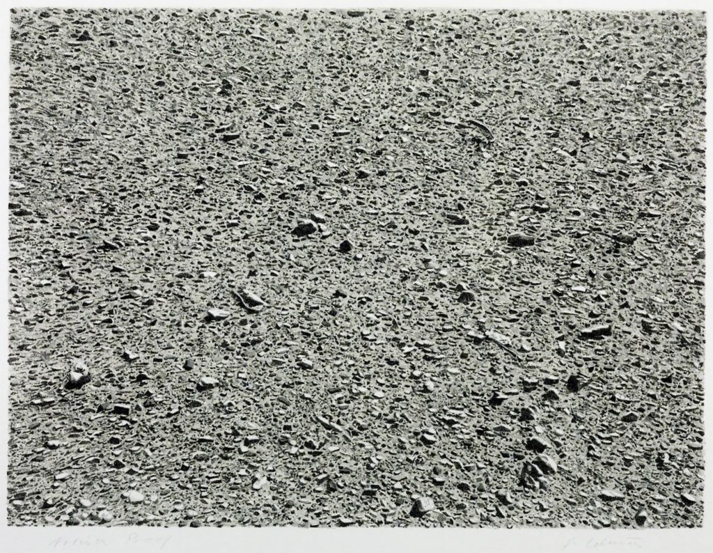 Desert by Vija Celmins