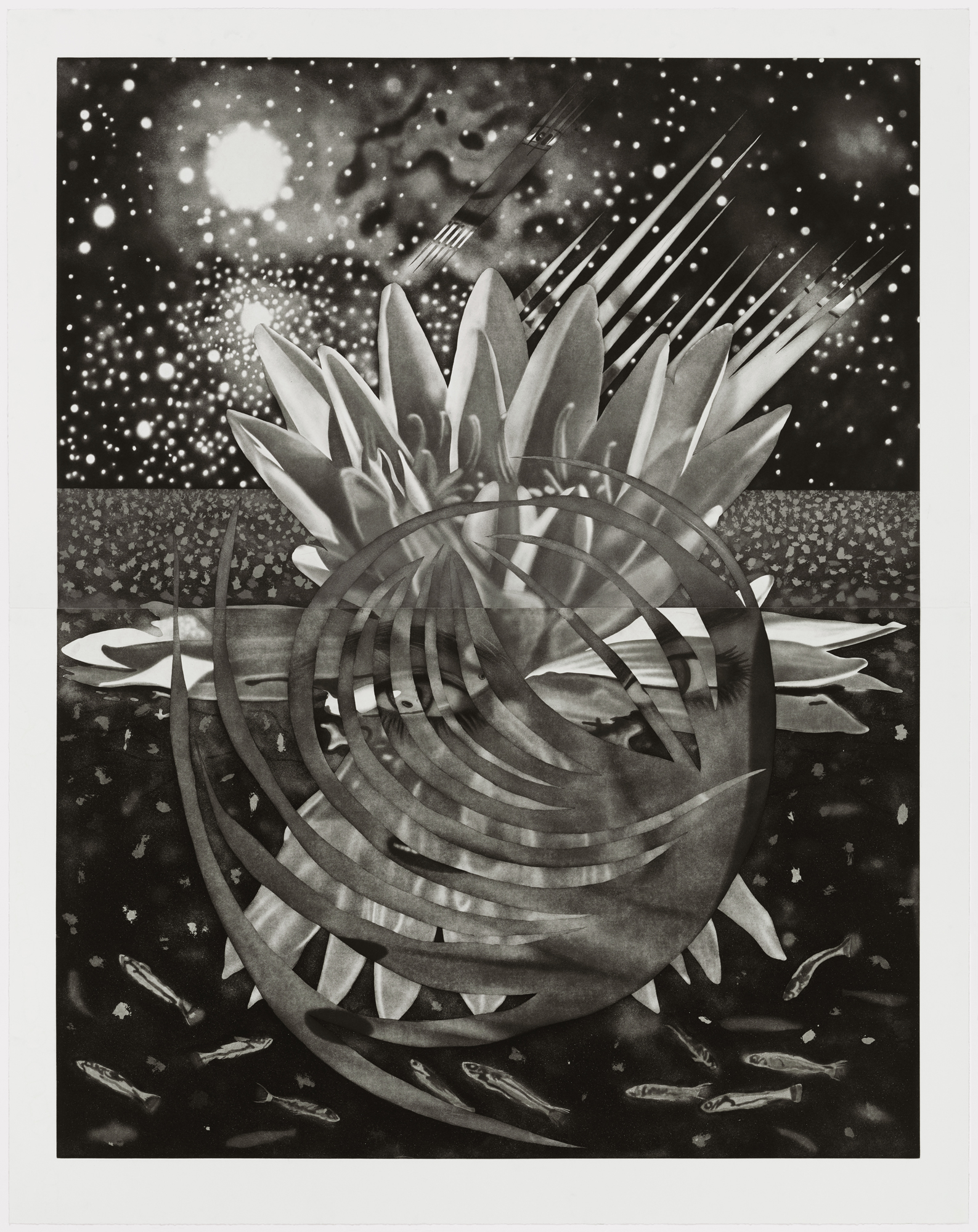 Welcome to the Water Planet by James Rosenquist