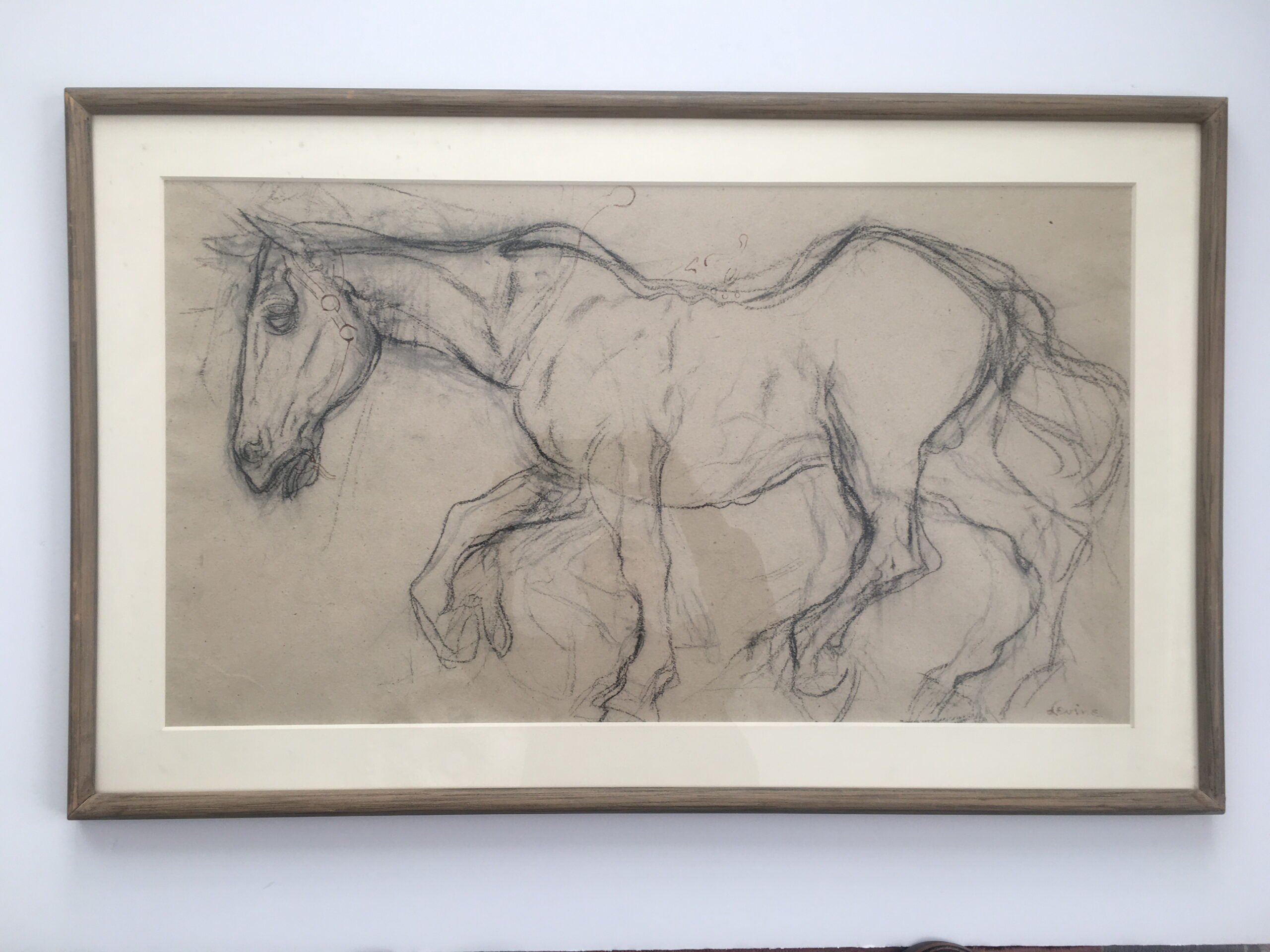 Study for ‘The White Horse’ by Jack Levine