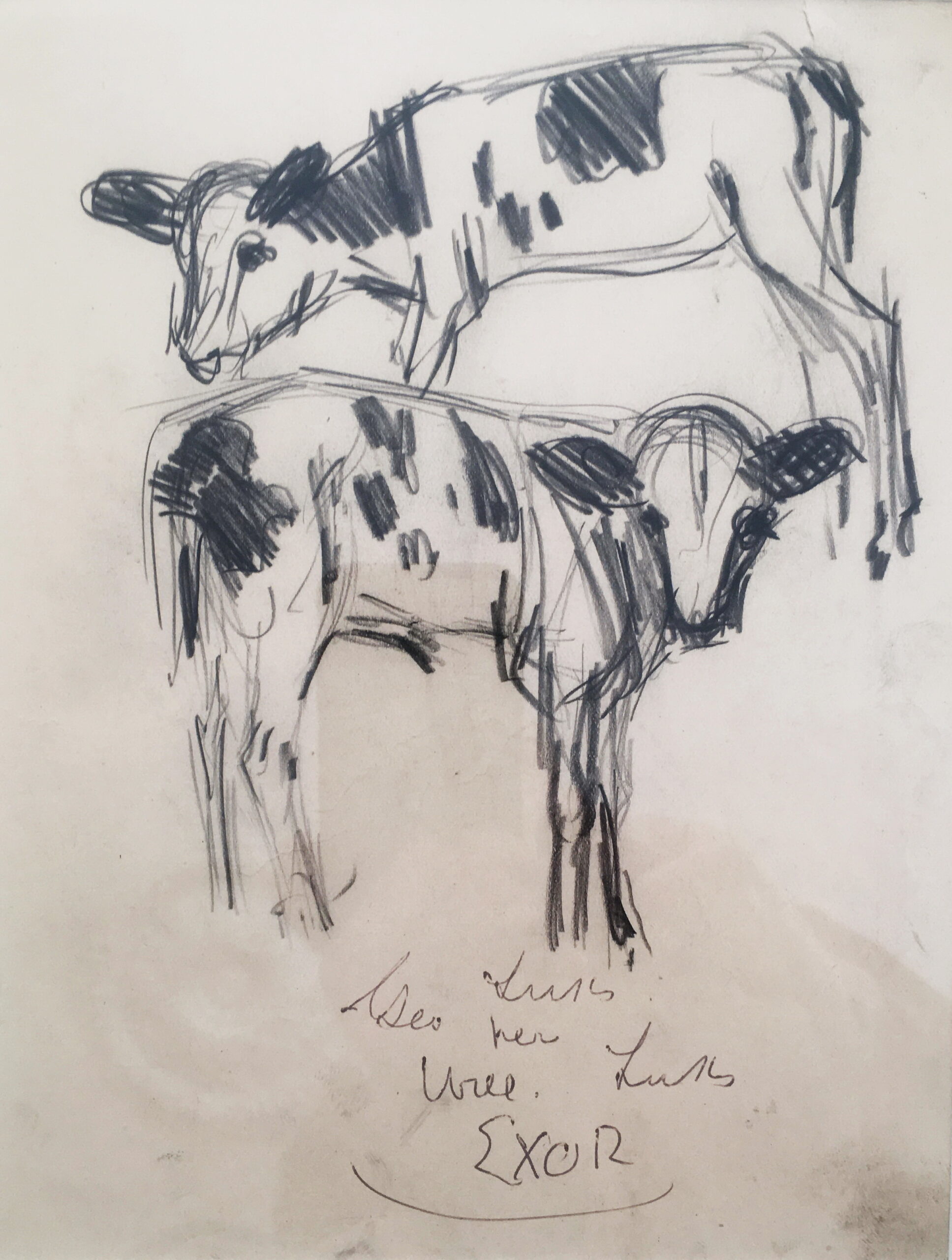 Sketch of Two Calves by george luks