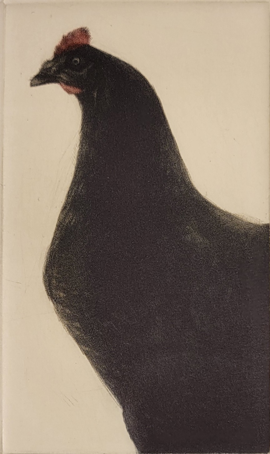 Poule i by Mikio Watanabe