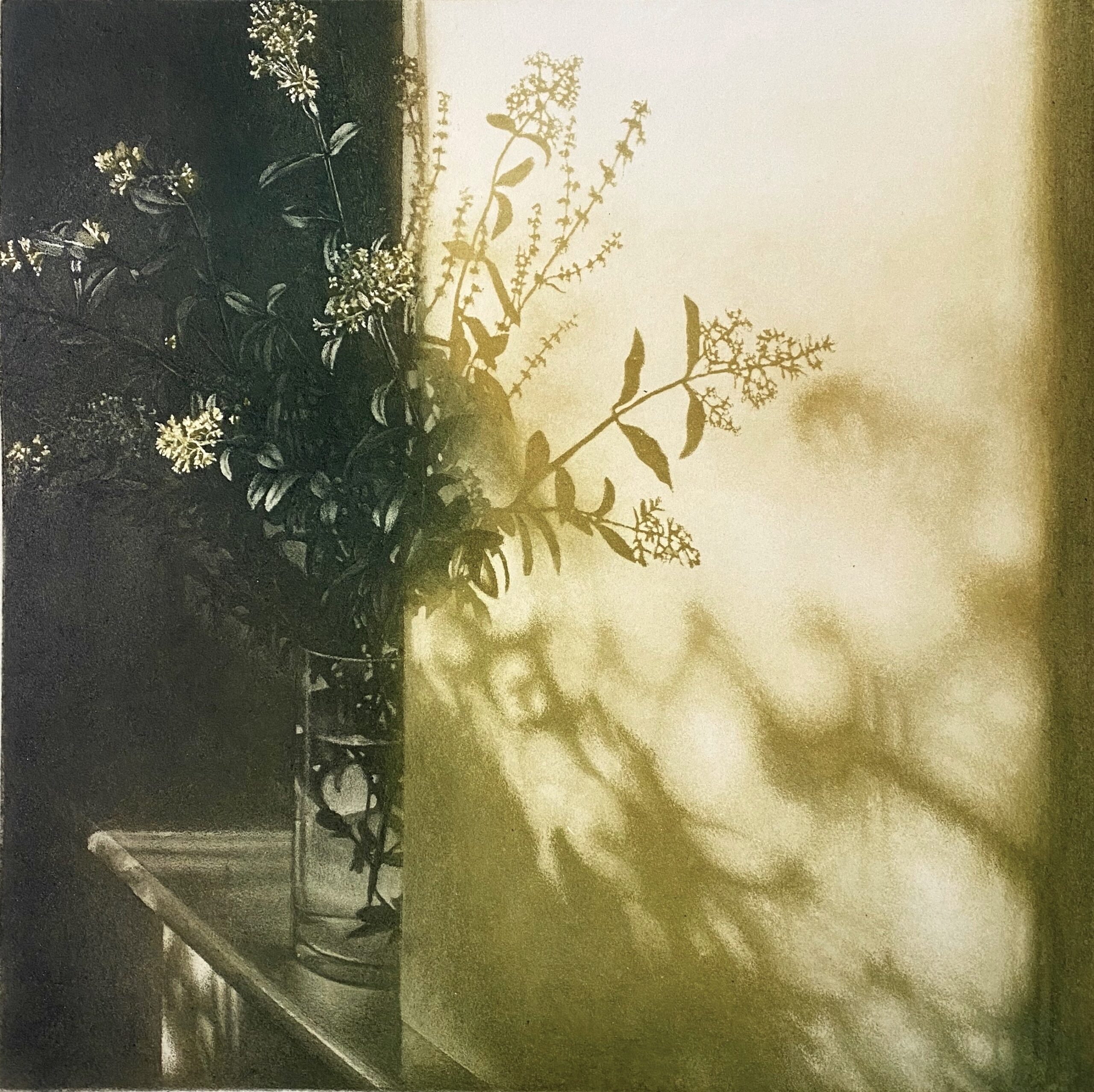 Window Light XXVII by Anja Percival