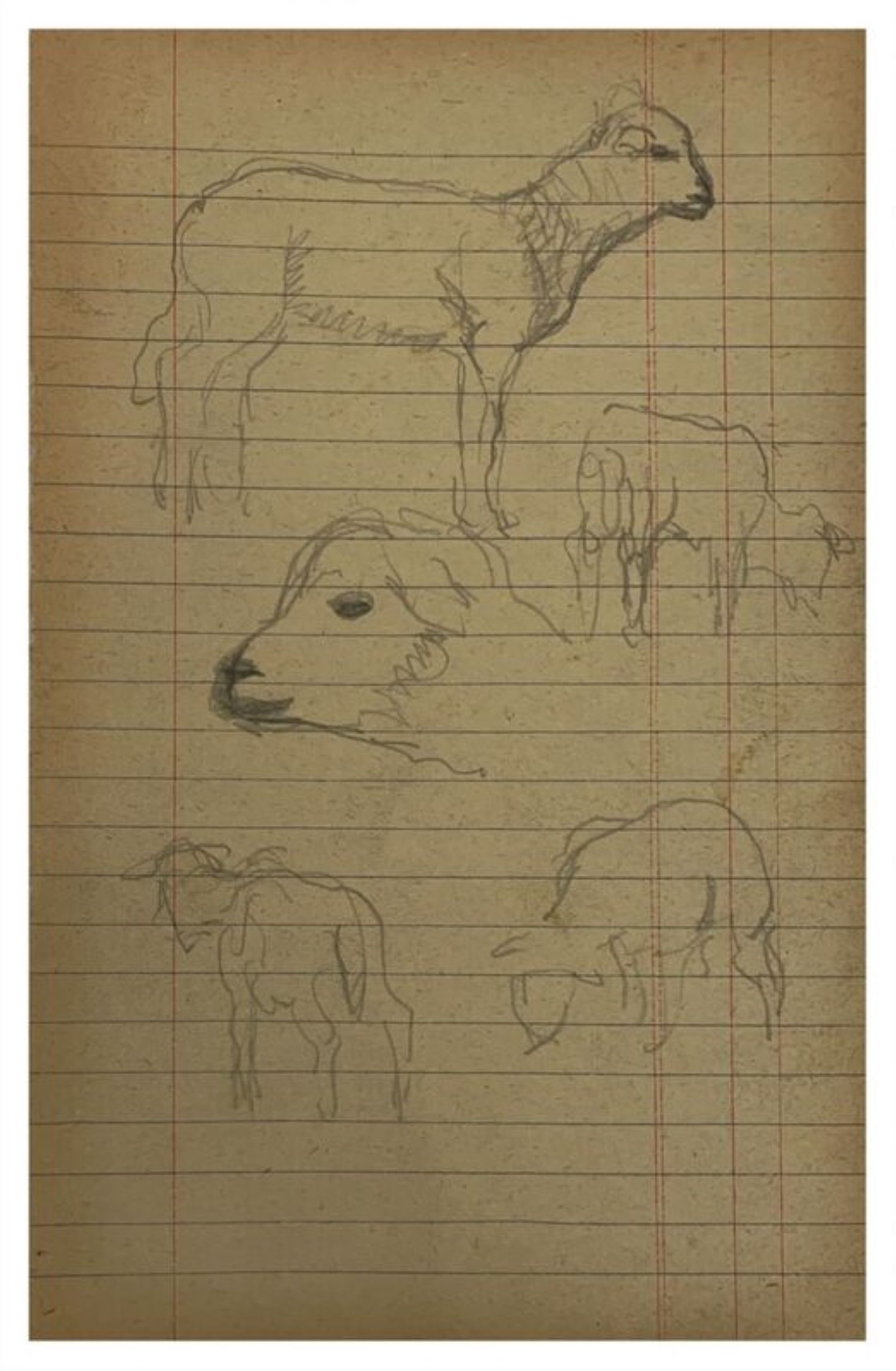 Study of Sheep by Adolphe Valette