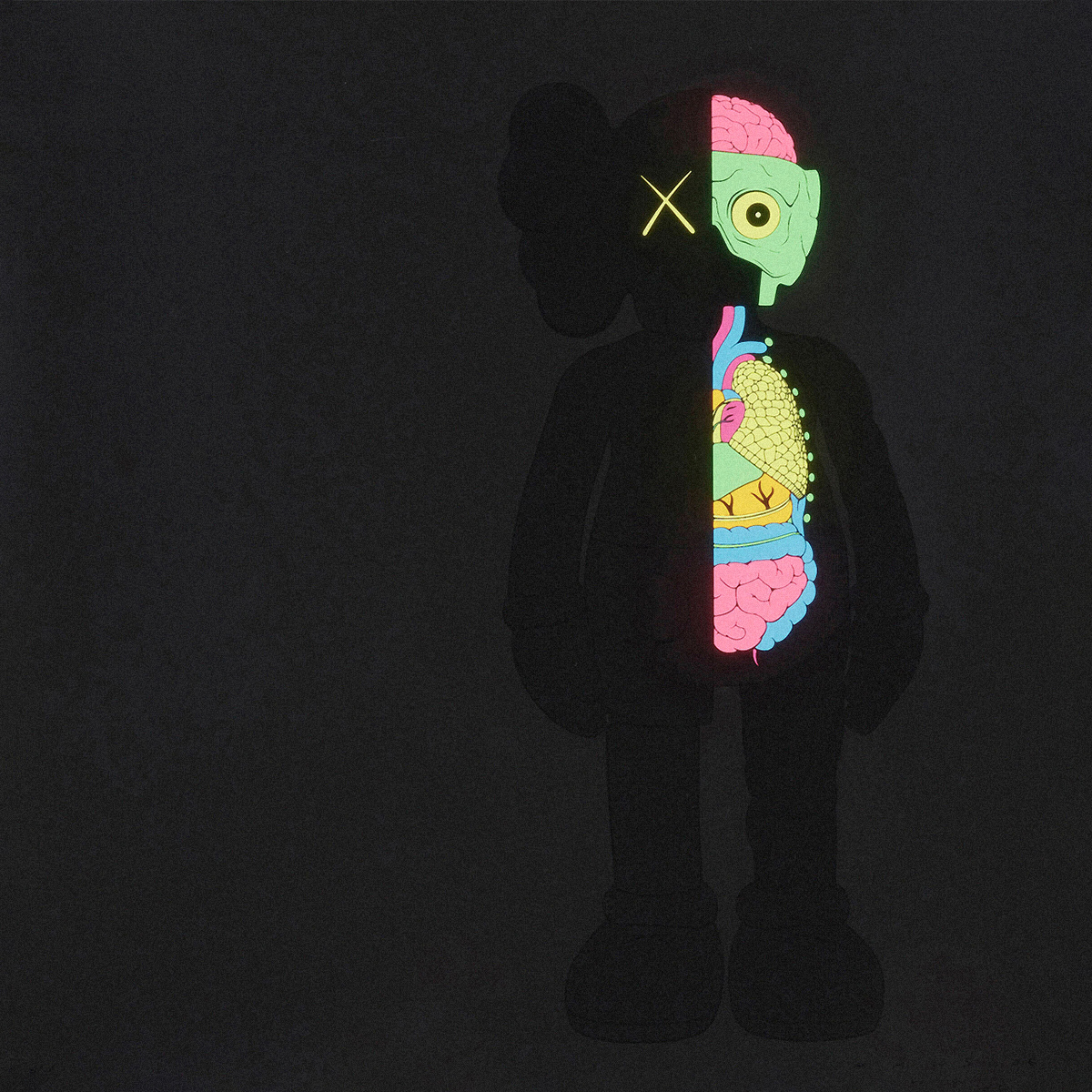 Dissected Companion (Black) by KAWS