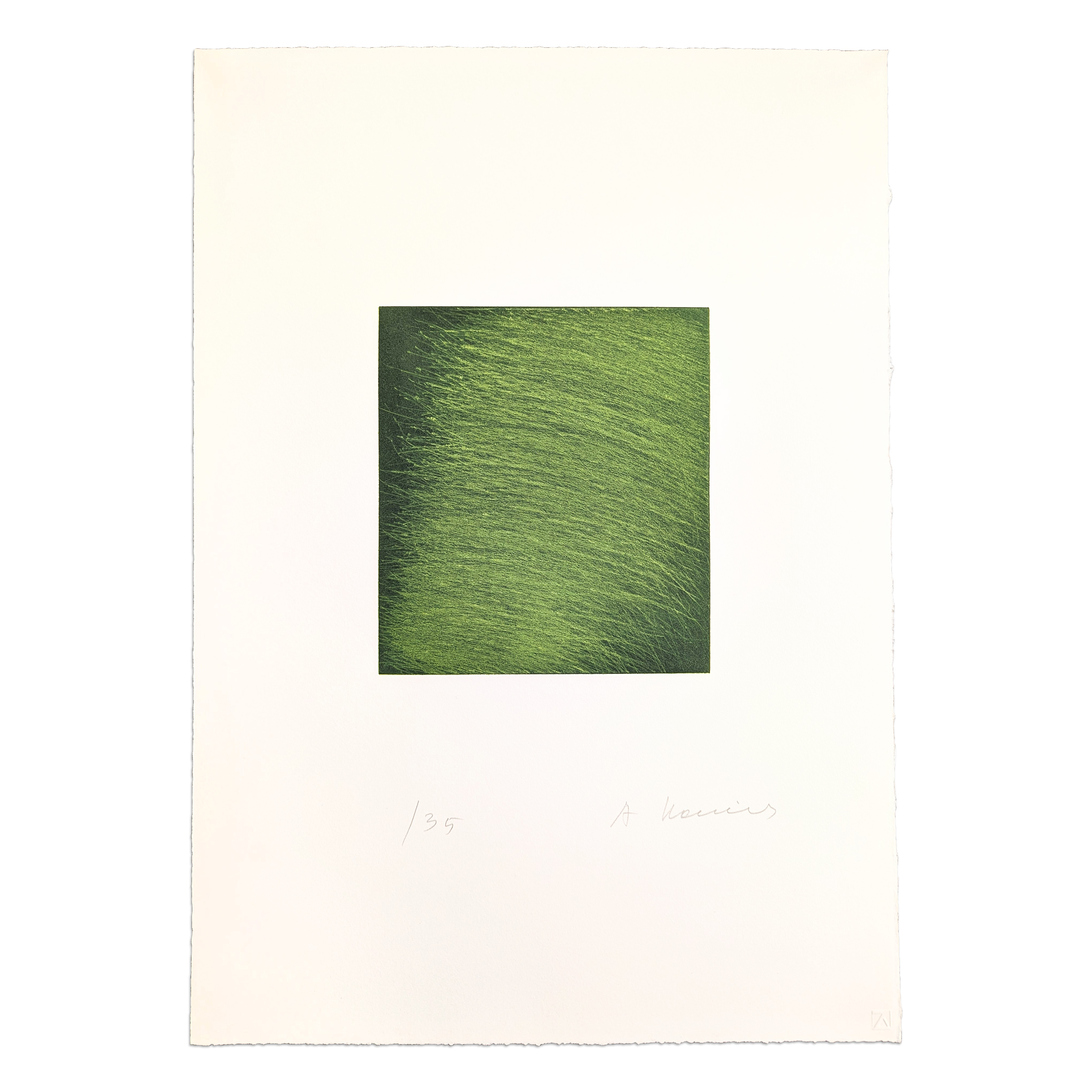 Grüner Strom by Arnulf Rainer