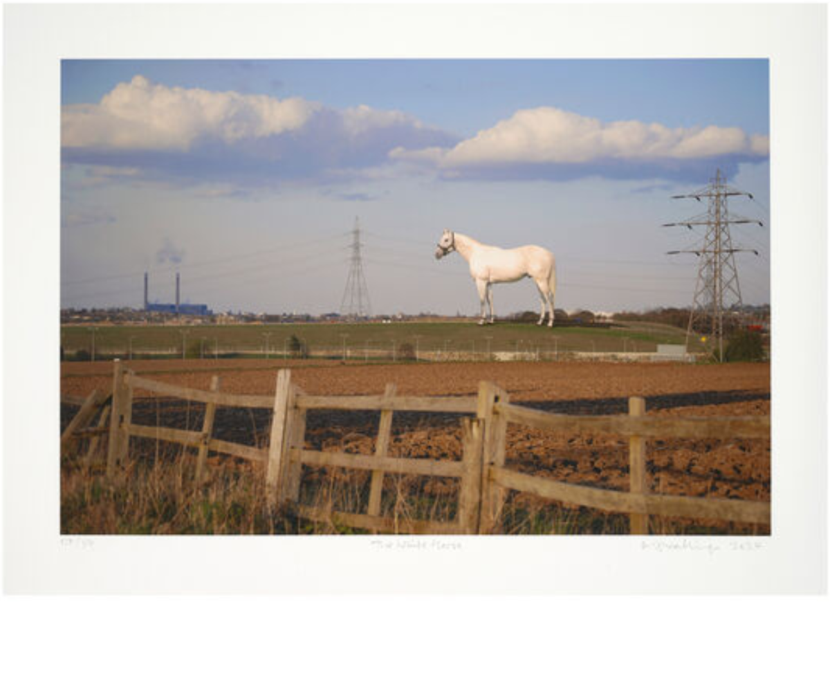 The White Horse, 2007/2024 by Mark Wallinger