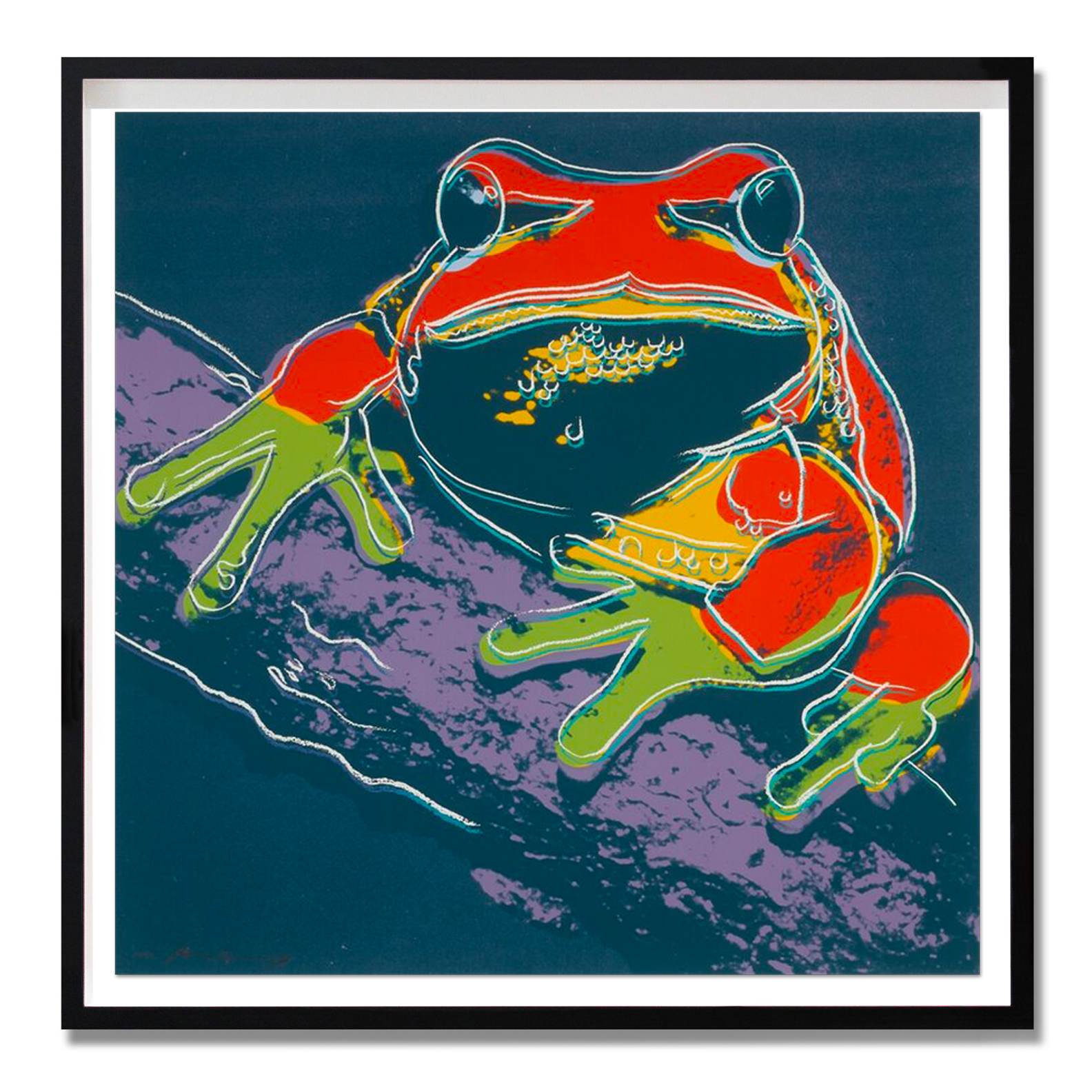 Endangered Species: Pine Barrens Tree Frog (FS II.294) by Andy Warhol