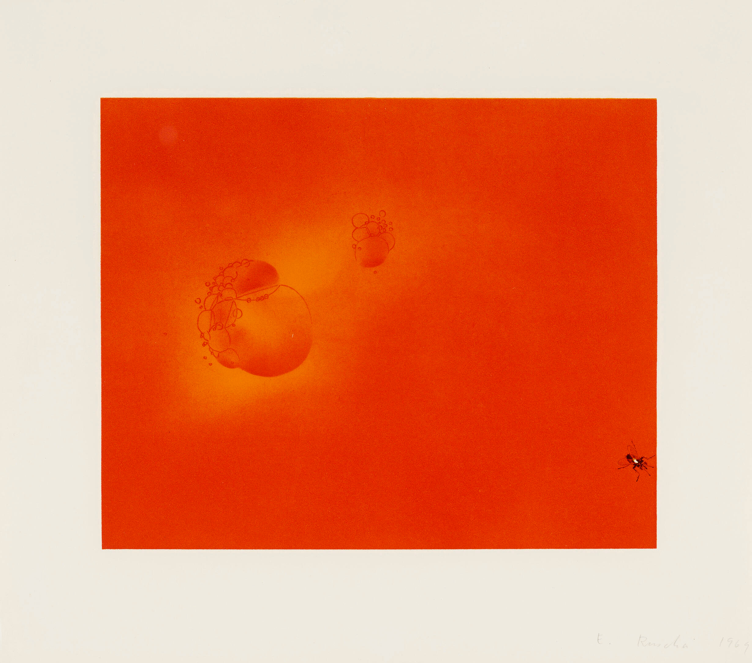 Blood Boiling, Fly by Ed Ruscha