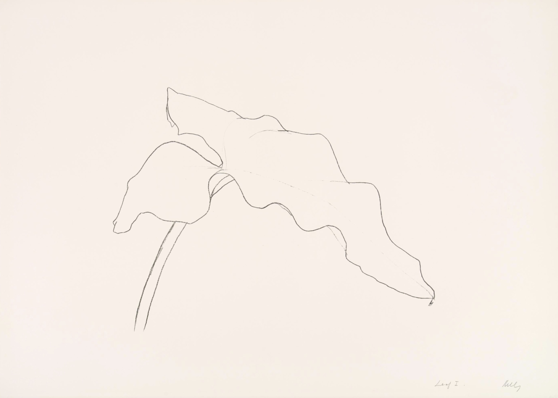 Leaf I (from Twelve Leaves Series) by Ellsworth Kelly